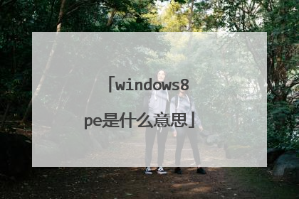 windows8pe是什么意思
