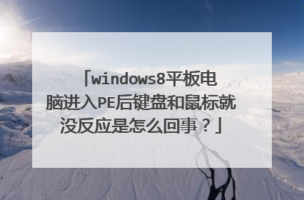 windows8平板电脑进入PE后键盘和鼠标就没反应是怎么回事?