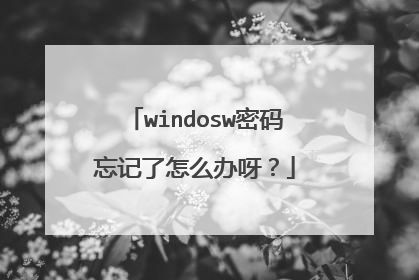 windosw密码忘记了怎么办呀?