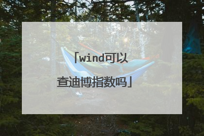 wind可以查迪博指数吗