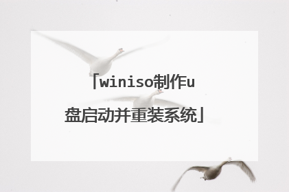 winiso制作u盘启动并重装系统