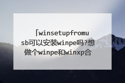 winsetupfromusb可以安装winpe吗?想做个winpe和winxp合体的安装盘,可否实现!