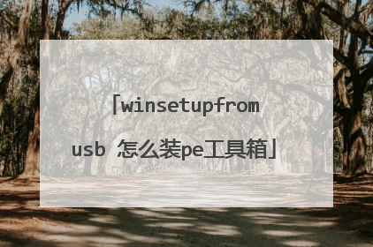winsetupfromusb 怎么装pe工具箱
