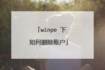 winpe 下如何删除账户