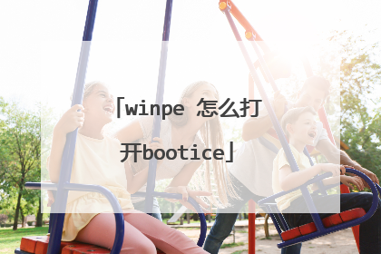 winpe 怎么打开bootice