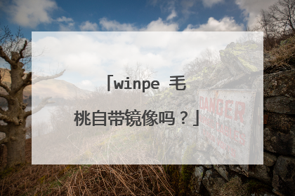 winpe 毛桃自带镜像吗？
