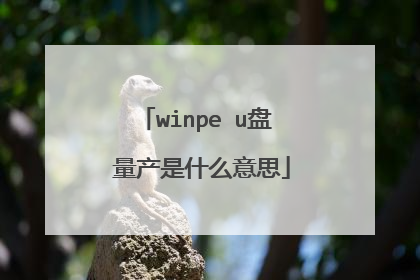 winpe u盘 量产是什么意思
