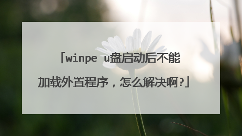 winpe u盘启动后不能加载外置程序，怎么解决啊?