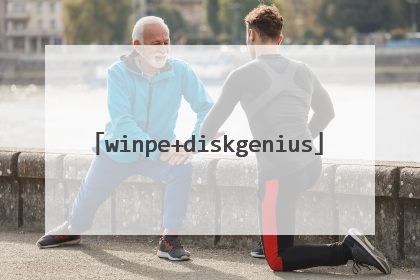 winpe+diskgenius