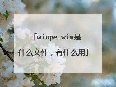 winpe.wim是什么文件,有什么用