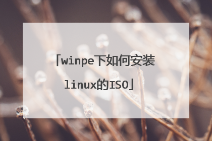 winpe下如何安装linux的ISO