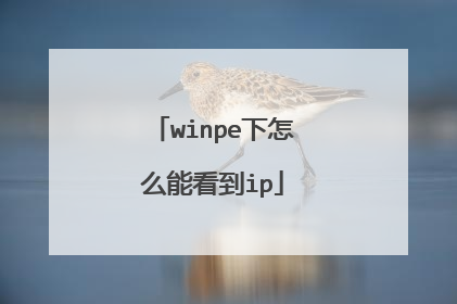 winpe下怎么能看到ip