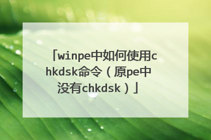 winpe中如何使用chkdsk命令（原pe中没有chkdsk）