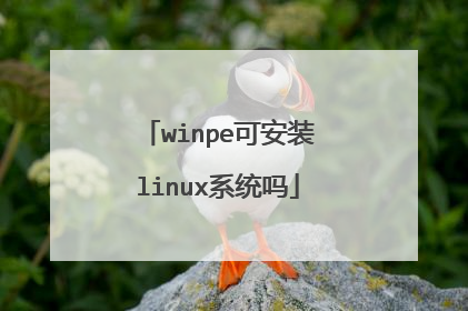 winpe可安装linux系统吗