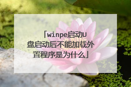 winpe启动U盘启动后不能加载外置程序是为什么