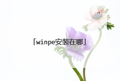 winpe安装在哪
