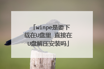 winpe是要下载在U盘里 直接在U盘解压安装吗