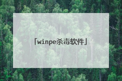 winpe杀毒软件