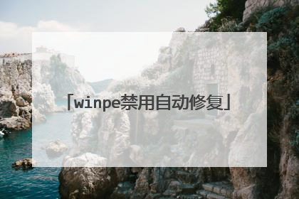 winpe禁用自动修复