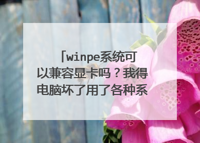 winpe系统可以兼容显卡吗?我得电脑坏了用了各种系统盘都装不上,到安装界面就黑屏,盘里的pe系统