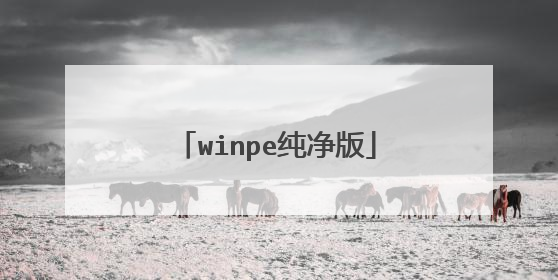 winpe纯净版