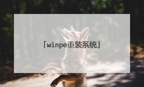 winpe重装系统