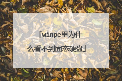 winpe里为什么看不到固态硬盘