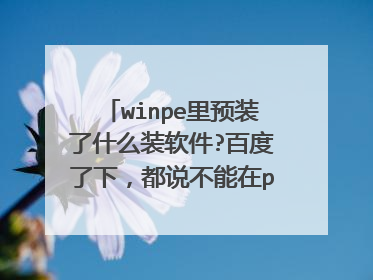 winpe里预装了什么装软件?百度了下,都说不能在pe中安装软件。那么pe中预先安装哪些软件?