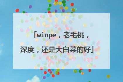 winpe,老毛桃,深度,还是大白菜的好