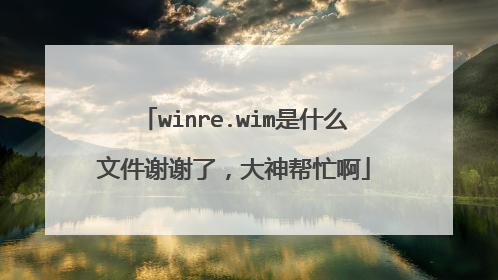 winre.wim是什么文件谢谢了,大神帮忙啊