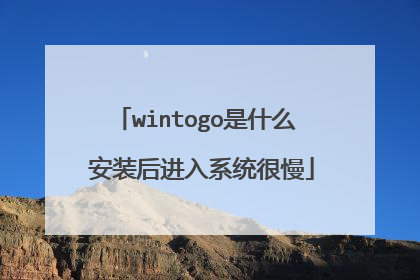 wintogo是什么 安装后进入系统很慢