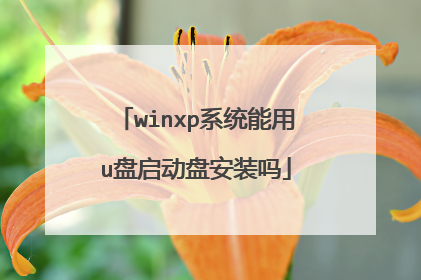 winxp系统能用u盘启动盘安装吗