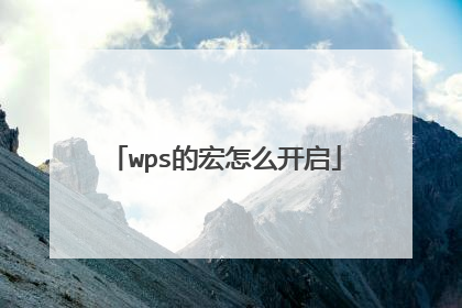 wps的宏怎么开启