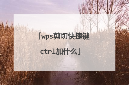 wps剪切快捷键ctrl加什么