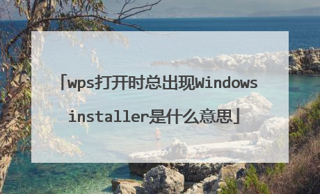 wps打开时总出现Windows installer是什么意思