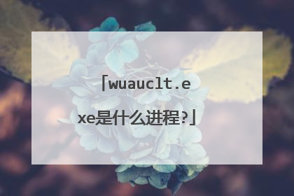 wuauclt.exe是什么进程?