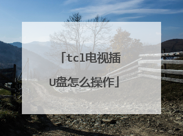 tcl电视插U盘怎么操作