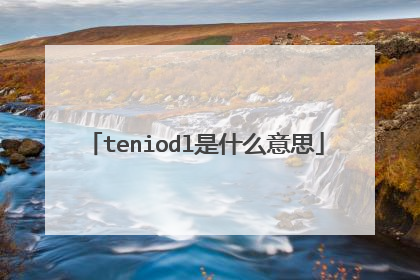 teniodl是什么意思