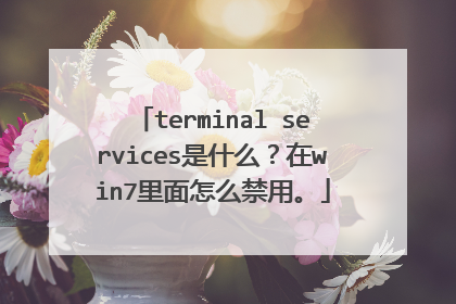 terminal services是什么?在win7里面怎么禁用。
