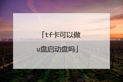 tf卡可以做u盘启动盘吗