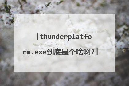 thunderplatform.exe到底是个啥啊?