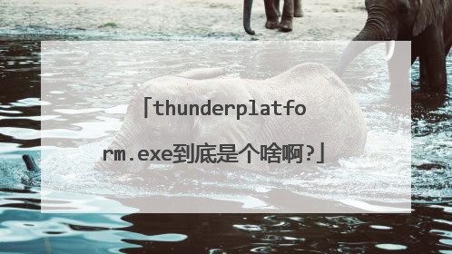 thunderplatform.exe到底是个啥啊?