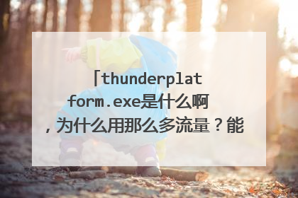 thunderplatform.exe是什么啊,为什么用那么多流量?能关吗?怎么关掉啊?