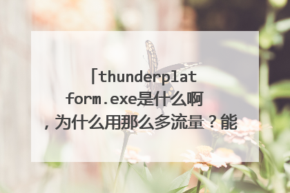 thunderplatform.exe是什么啊,为什么用那么多流量?能关吗?怎么关掉啊?