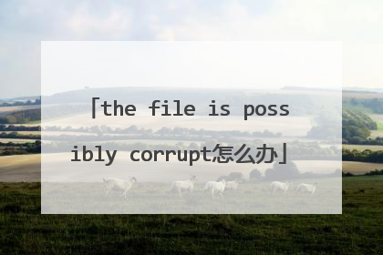the file is possibly corrupt怎么办