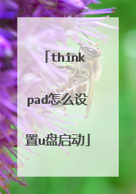 thinkpad怎么设置u盘启动