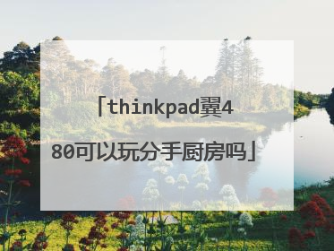 thinkpad翼480可以玩分手厨房吗