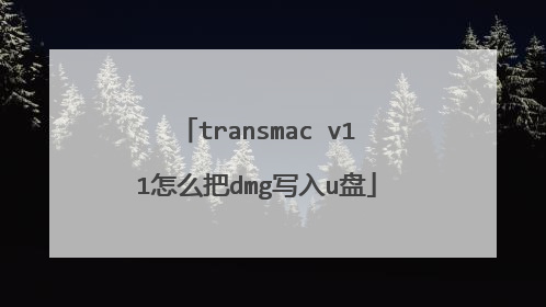 transmac v11怎么把dmg写入u盘