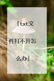 txt文件打不开怎么办