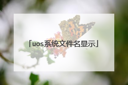 uos系统文件名显示